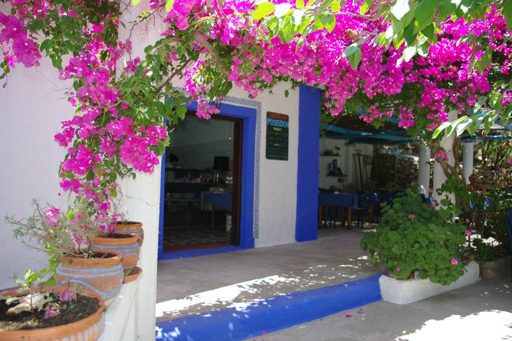 karpathos hotels restaurant - Poseidon Blue Gastronomy Hotel
